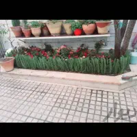 باغبان اقایی یزدانی