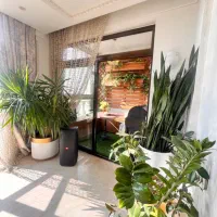 زعفرانیه۱۹۰متر۳خ اکازیون/دیدوویوشهر/اخرین بازدید|اجارهٔ آپارتمان|تهران, زعفرانیه|دیوار