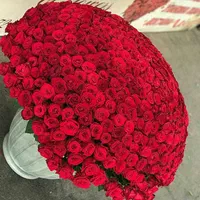 تاج گل سبد گل تبریک افتتاحیه ترحیم ختم عروسی|گل و گیاه طبیعی|آفتاب, |دیوار