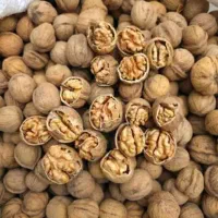 پخش گردو پوست کاغذی