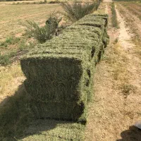 یونجه خشک پرس شده