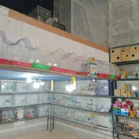 انواع قفس و سایر ملزومات