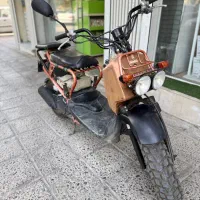 پاکشتی هوندا زومر