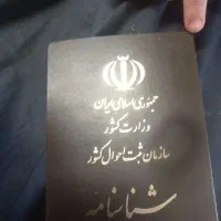 شناسنامه گم شده