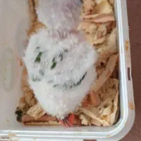 عروسک