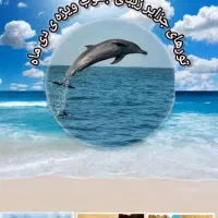 سفر گروهی به جزیره ی زیبای هرمز