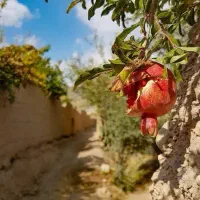 تمیزکاری وشستشو