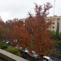 اجاره دفتر کار بر  ارم مشترک