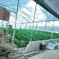 فروش و گلخانه و مرغداری