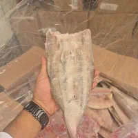 ماهی حسون استیک درجه یک