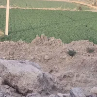 زمینآبیروبهرویپتروشیمی