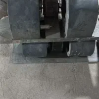 فنکول سالم درحد