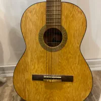 گیتار کلاسیک درحد نو|گیتار، بیس، امپلیفایر|شهریار, رزکان|دیوار