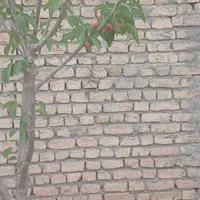 باغچه 300متر کلاکوب،سجاد۲۸|فروش زمین و ملک کلنگی|مشهد, کلاکوب|دیوار