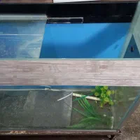 اکواریوم‌بزرگ‌‌‌فقط‌۸۰۰