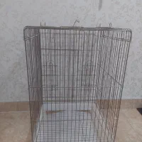 قفس بزرگ