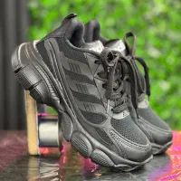 لژدار زنانه|کیف، کفش، کمربند|کرمان, |دیوار