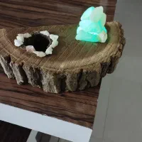 جا گل کاکتوس چوبی