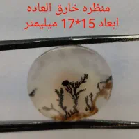 حراجی شجر شماره دو|جواهرات|زنجان, |دیوار