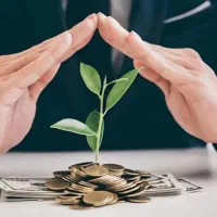 جذب سرمایه گذار