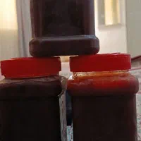 رب انار