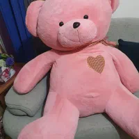 خرس تدی بزرگ