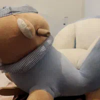 مبل وراکر عروسکی|اسباب‌‌بازی|ایلام, |دیوار