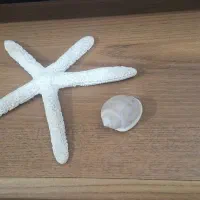 حراج کلی دیوارکوب و تزیینی|حراج|فولادشهر, A3|دیوار