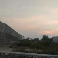 زمین بندر کنگ 1000متر
