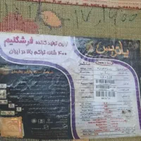 فرش گلیم|فرش|قم, بنیاد|دیوار