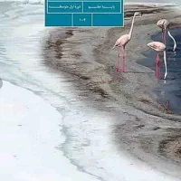پک کتوب پایه هفتم