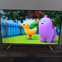 تلوزیون  ال ای دی ۵۵ فروش فوری پول لازم