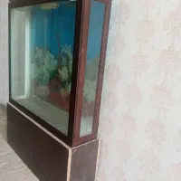 آکواریوم بزرگ|ماهی|قوچان, |دیوار
