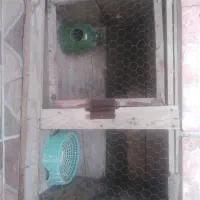 قفس جوجه گیری