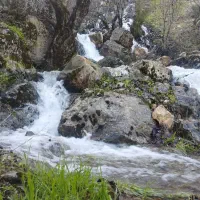 اجاره-مرغداری-گوشتی-30هزار-قطعه-ای