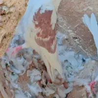 سلام،یکی نر یه کت قهوه‌ای کفتر خوبی هست