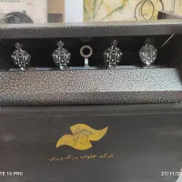 سیبل با کیف چرمی
