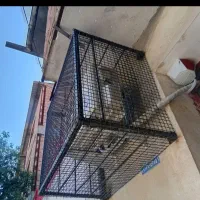 جوشکاری سیار محدوده عباس آباد تا کلار آباد