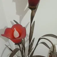 اباژور