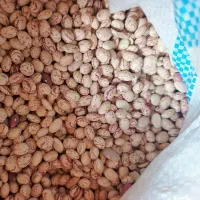 لوبیا چیتی 345وبیا قرمز225|خوردنی و آشامیدنی|تهران, امیریه|دیوار