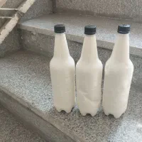 دوغ تازه گوسفندی درجه ۱