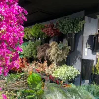 نضافت برای کافه