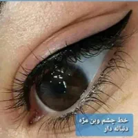 اموزش وخدمات میکروپیگمنتیشن صورت ،وریمووال|خدمات آرایشگری و زیبایی|سبزوار, فرهنگیان|دیوار