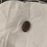 انگشتر نگین|جواهرات|بوشهر, |دیوار