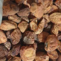 زردآلوی خشک شده با هسته با طعمی عسلی۱۸۰ تومن