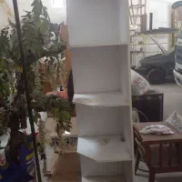 قفسه ایستاده