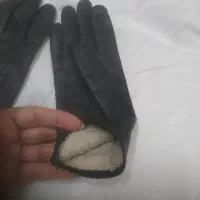 دستکش چرم طبیعی|لباس|ری, دیلمان|دیوار