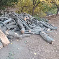 چوب|خدمات باغبانی و درختکاری|پاوه, |دیوار