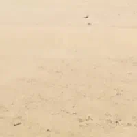 زمین مسکونی