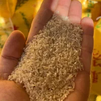 سرلاشه فجر درجه یک و عطری|خوردنی و آشامیدنی|رضوانشهر, |دیوار